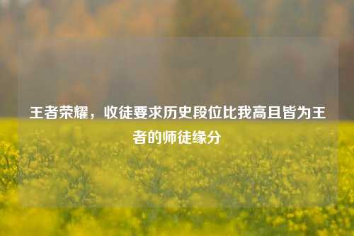 王者荣耀，收徒要求历史段位比我高且皆为王者的师徒缘分