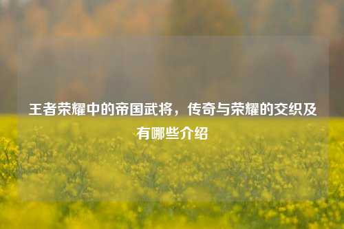 王者荣耀中的帝国武将,传奇与荣耀的交织及有哪些介绍