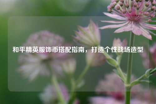和平精英服饰币搭配指南，打造个性战场造型