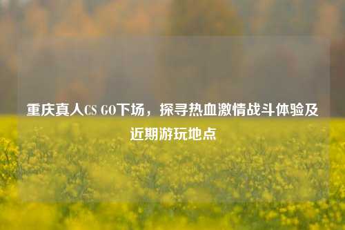 重庆真人CS GO下场，探寻热血激情战斗体验及近期游玩地点