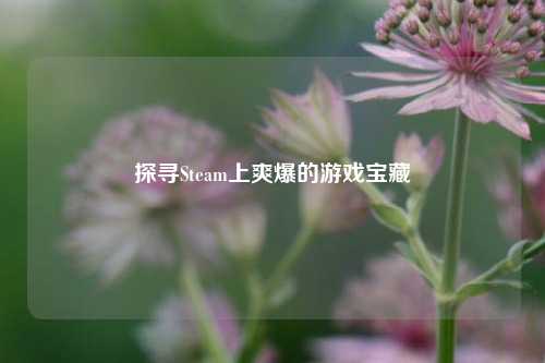 探寻Steam上爽爆的游戏宝藏