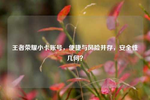 王者荣耀小卡账号，便捷与风险并存，安全性几何？