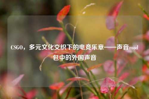 CSGO，多元文化交织下的电竞乐章——声音mod包中的外国声音