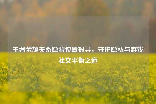 王者荣耀关系隐藏位置探寻,守护隐私与游戏社交平衡之道