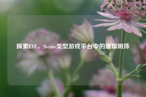 探索EVE,Steam类型游戏平台中的璀璨明珠