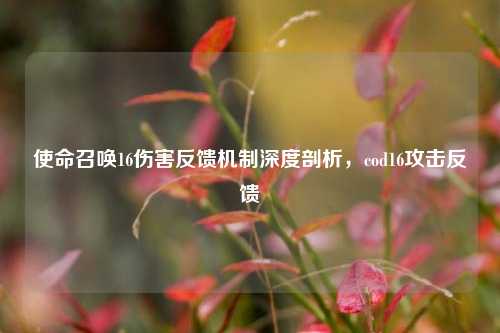 使命召唤16伤害反馈机制深度剖析,cod16攻击反馈