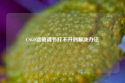 CSGO滤镜调节打不开的解决办法
