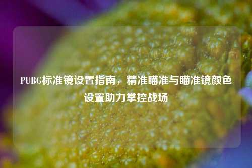 PUBG标准镜设置指南，精准瞄准与瞄准镜颜色设置助力掌控战场