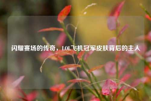 闪耀赛场的传奇,LOL飞机冠军皮肤背后的主人