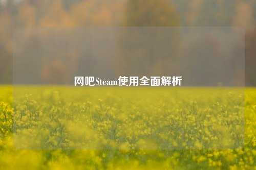 网吧Steam使用全面解析
