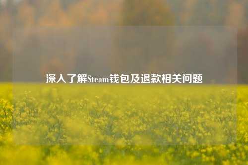 深入了解Steam钱包及退款相关问题