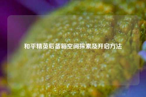 和平精英后备箱空间探索及开启方法