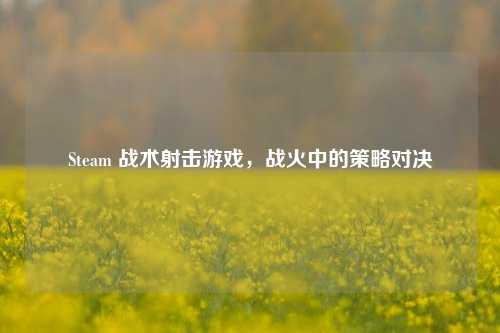 Steam 战术射击游戏，战火中的策略对决