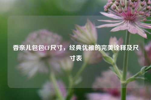 香奈儿包包CF尺寸,经典优雅的完美诠释及尺寸表