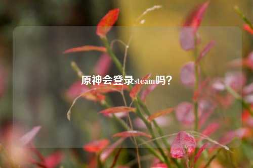 原神会登录steam吗？