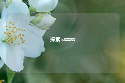 探索lol88855