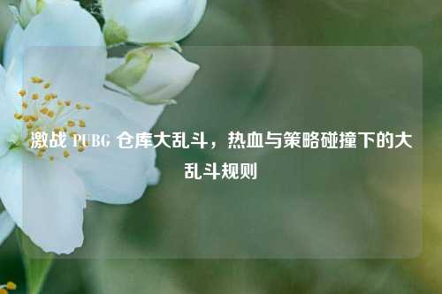 激战 PUBG 仓库大乱斗，热血与策略碰撞下的大乱斗规则
