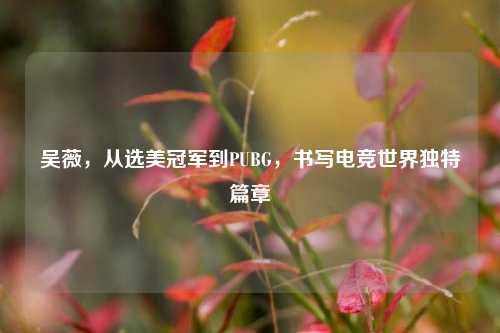 吴薇，从选美冠军到PUBG，书写电竞世界独特篇章