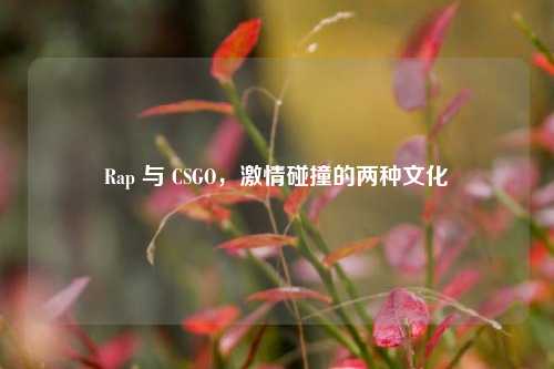 Rap 与 CSGO，激情碰撞的两种文化