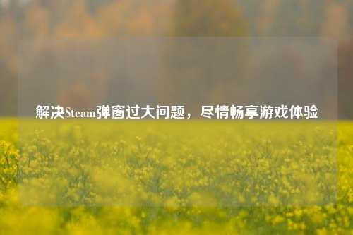 解决Steam弹窗过大问题，尽情畅享游戏体验