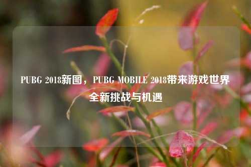 PUBG 2018新图,PUBG MOBILE 2018带来游戏世界全新挑战与机遇