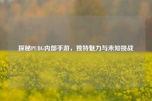 探秘PUBG内部手游，独特魅力与未知挑战