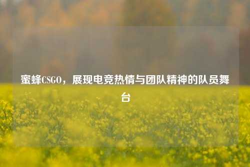蜜蜂CSGO，展现电竞热情与团队精神的队员舞台