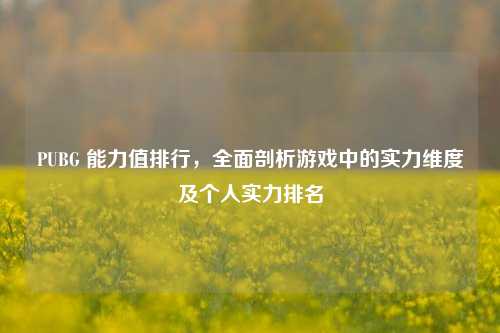 PUBG 能力值排行，全面剖析游戏中的实力维度及个人实力排名