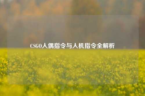 CSGO人偶指令与人机指令全解析
