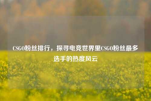 CSGO粉丝排行，探寻电竞世界里CSGO粉丝最多选手的热度风云