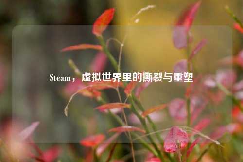 Steam，虚拟世界里的撕裂与重塑