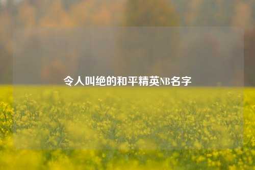 令人叫绝的和平精英NB名字