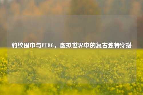 豹纹围巾与PUBG，虚拟世界中的复古独特穿搭