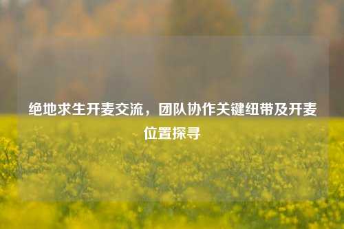 绝地求生开麦交流,团队协作关键纽带及开麦位置探寻