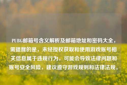 PUBG邮箱号含义解析及邮箱地址和密码大全,需提醒的是,未经授权获取和使用游戏账号相关信息属于违规行为,可能会导致法律问题和账号安全风险,建议遵守游戏规则和法律法规。