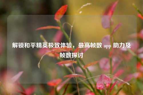 解锁和平精英极致体验,最高帧数 app 助力及帧数探讨