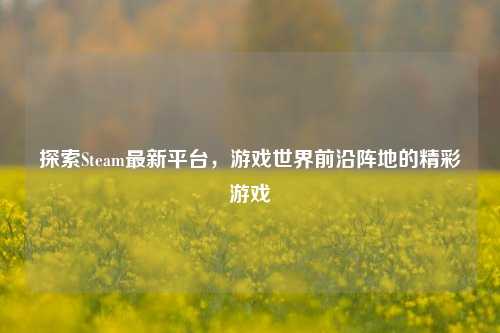 探索Steam最新平台，游戏世界前沿阵地的精彩游戏