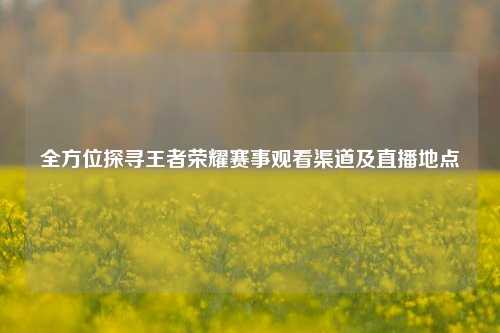 全方位探寻王者荣耀赛事观看渠道及直播地点
