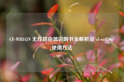 CF-WR845N 无线路由器说明书全解析及 cf-wr850n 使用方法