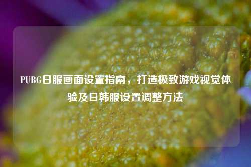 PUBG日服画面设置指南，打造极致游戏视觉体验及日韩服设置调整方法