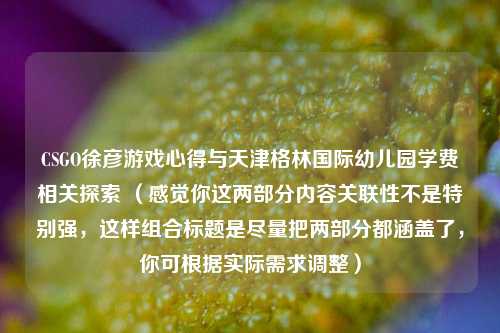 CSGO徐彦游戏心得与天津格林国际幼儿园学费相关探索 （感觉你这两部分内容关联性不是特别强，这样组合标题是尽量把两部分都涵盖了，你可根据实际需求调整）
