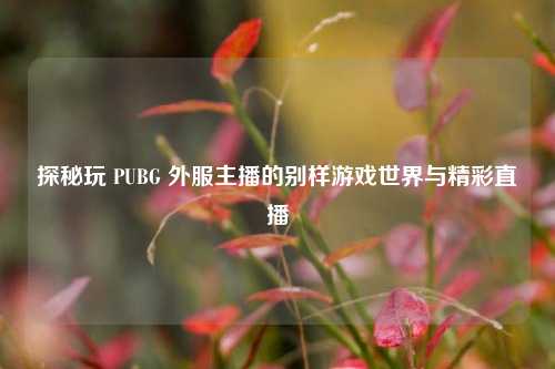 探秘玩 PUBG 外服主播的别样游戏世界与精彩直播