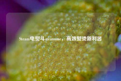 Steam电熨斗steamone,高效熨烫新利器