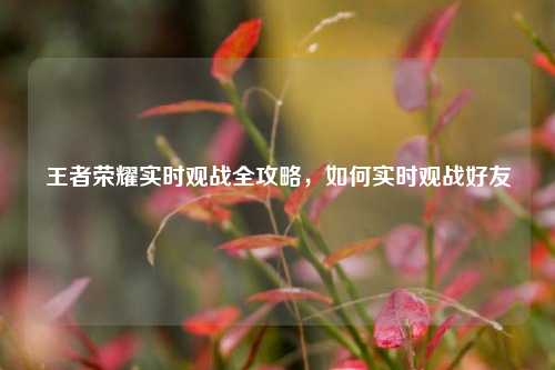 王者荣耀实时观战全攻略,如何实时观战好友