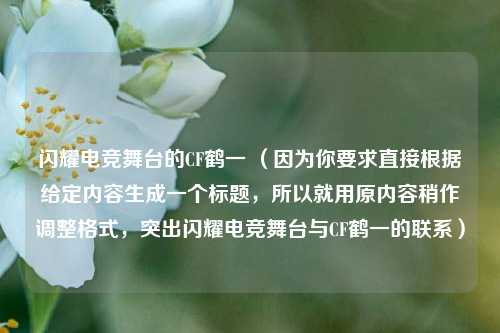 闪耀电竞舞台的CF鹤一 （因为你要求直接根据给定内容生成一个标题，所以就用原内容稍作调整格式，突出闪耀电竞舞台与CF鹤一的联系）