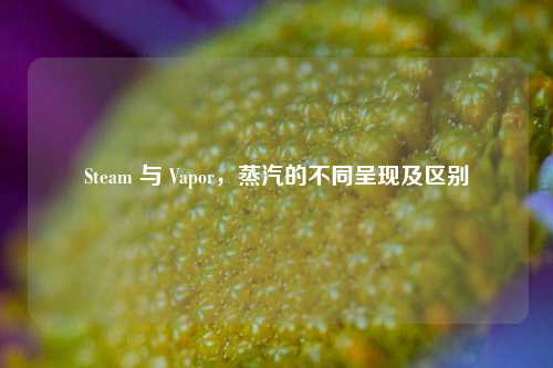 Steam 与 Vapor，蒸汽的不同呈现及区别