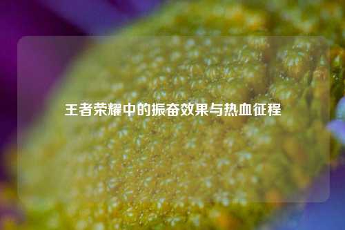 王者荣耀中的振奋效果与热血征程