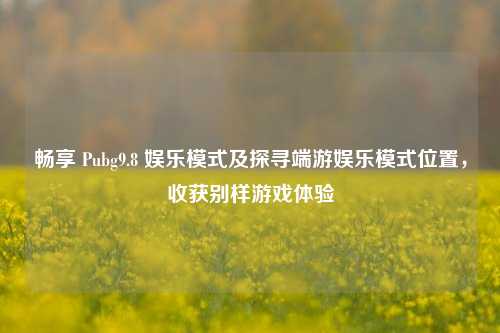 畅享 Pubg9.8 娱乐模式及探寻端游娱乐模式位置,收获别样游戏体验