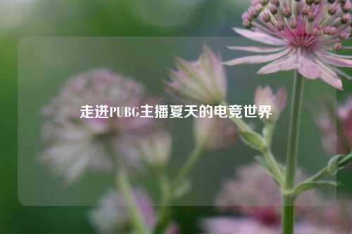 走进PUBG主播夏天的电竞世界