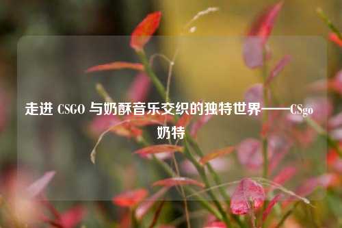 走进 CSGO 与奶酥音乐交织的独特世界——CSgo 奶特